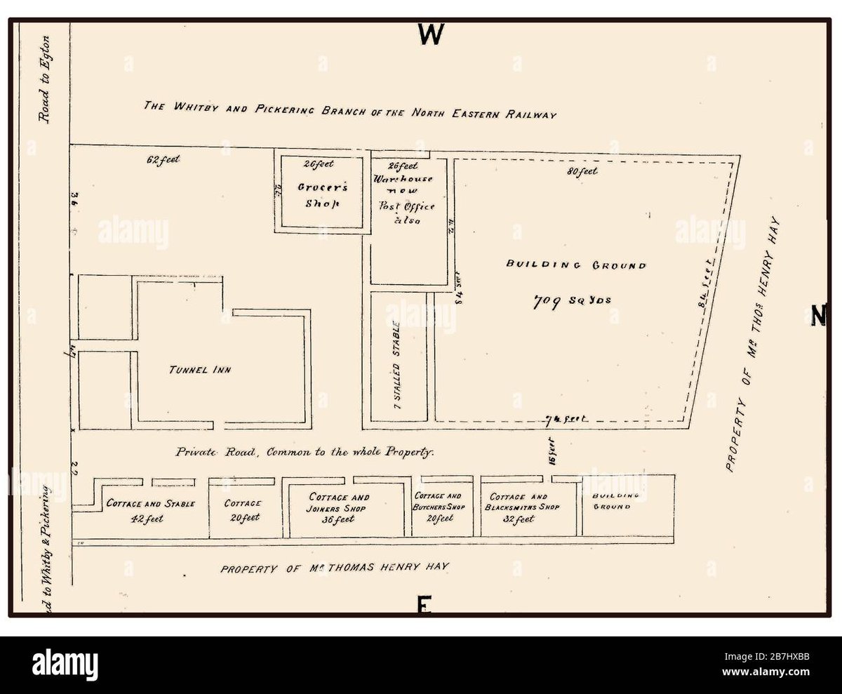 How Old Is Giyu Tomioka In Mob Psycho 100? Hes Not In